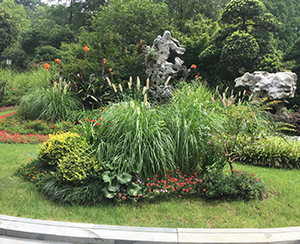 花坛花境